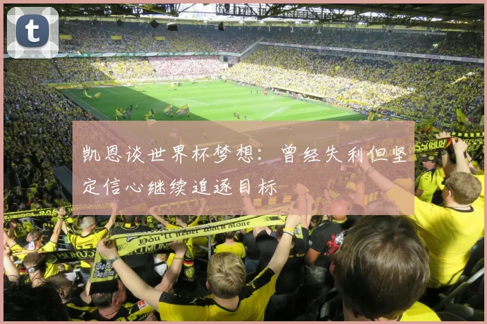 凯恩谈世界杯梦想：曾经失利但坚定信心继续追逐目标