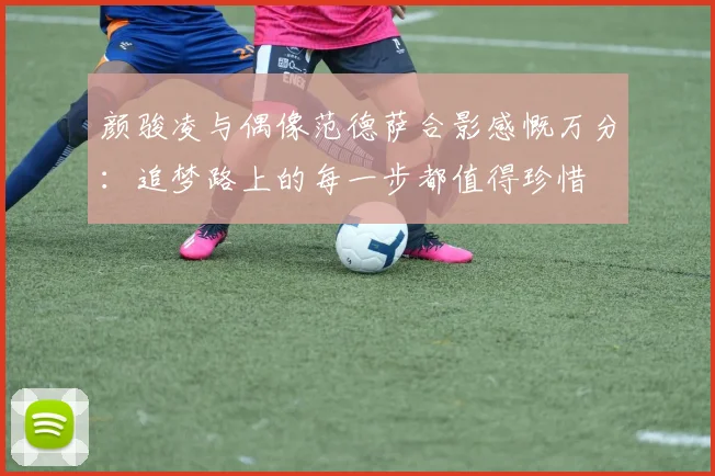 颜骏凌与偶像范德萨合影感慨万分：追梦路上的每一步都值得珍惜
