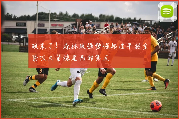狼来了！森林狼强势崛起追平掘金紧咬火箭稳居西部第五