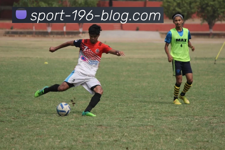 196体育APP 封面图